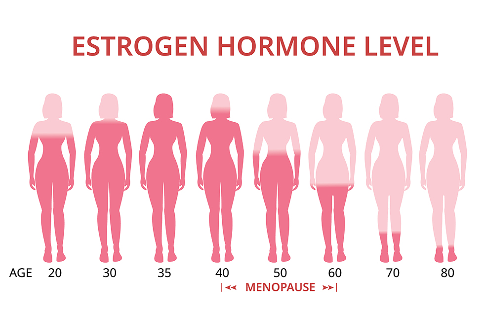 estrogen menopause chart